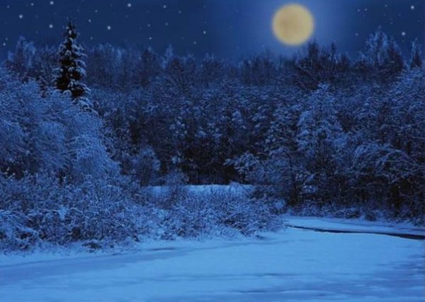 В полнолунном сиянии красавица зима