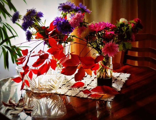 Осенние цветы вечером