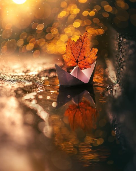 Осенние чудеса