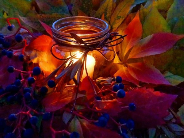 Волшебство осени