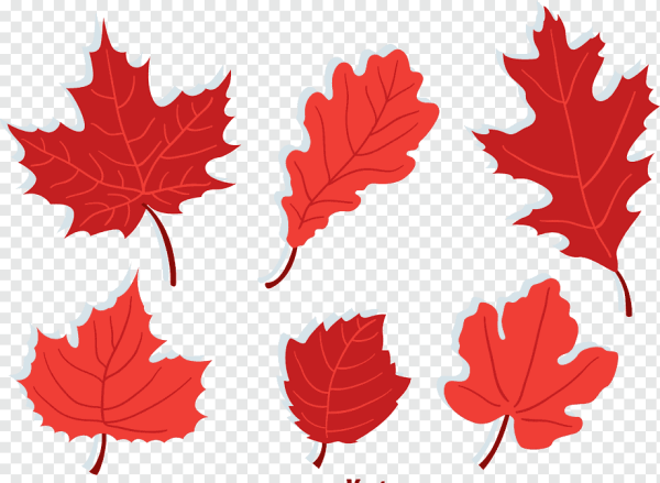 Листочки красного цвета для детей