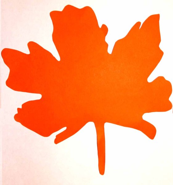 Листья для вырезания цветные