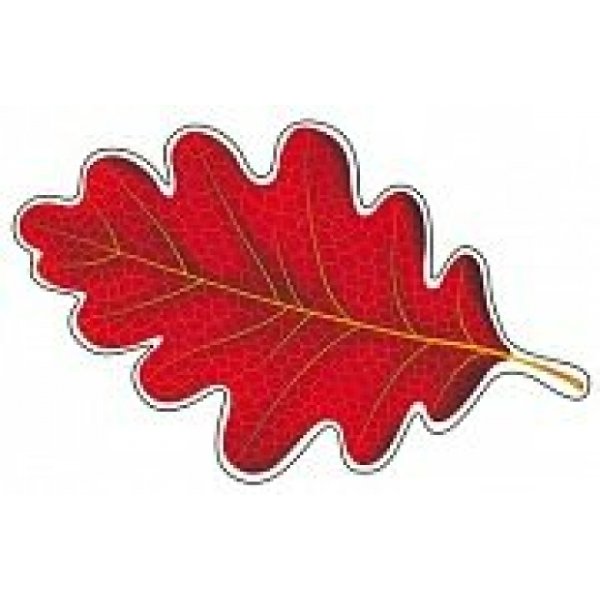 Красный дубовый лист для детей