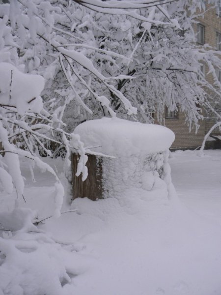 Снежный пенек