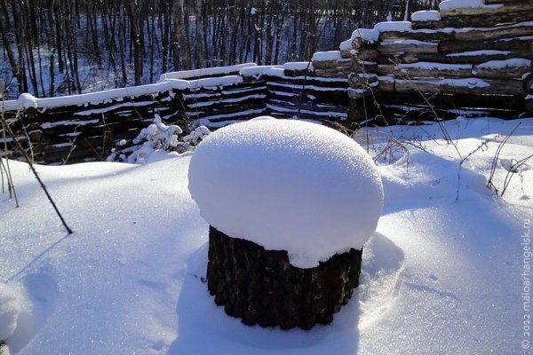 Шапки снега на деревьях