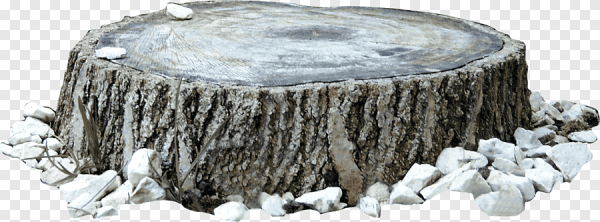 Пень в снегу