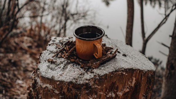 Февраль ,снег ,пенек