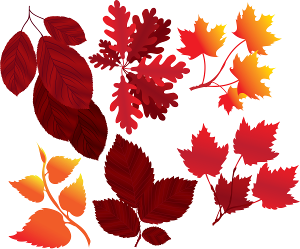 Цветной лист