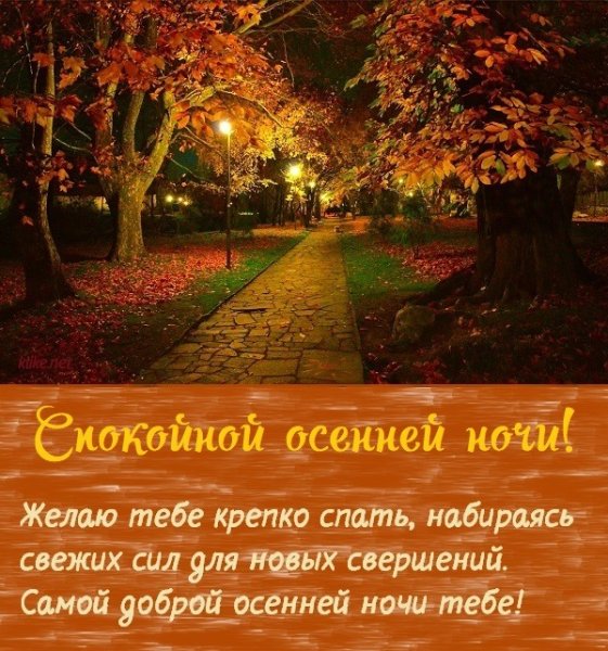 Доброй ночи картинки позитивные с надписями осенние