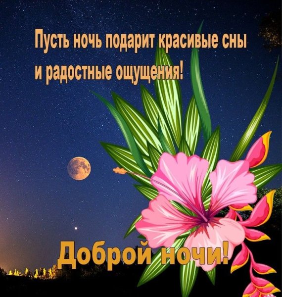 Спокойной ночи и хорошего завтрашнего дня