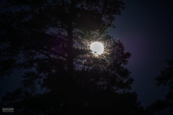 Танк ночью Луна