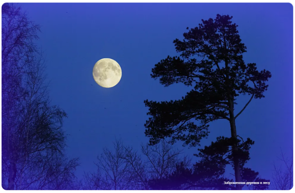 Луна вечером