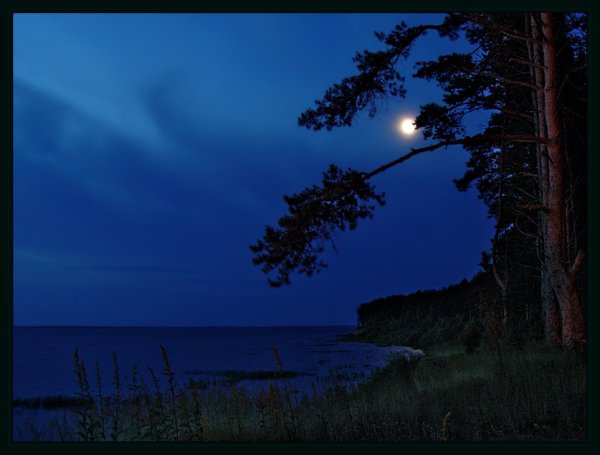 Лунная летняя ночь