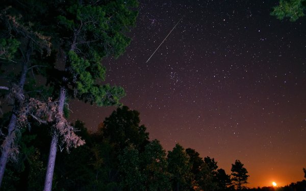 ЕК-звездопад Персеиды