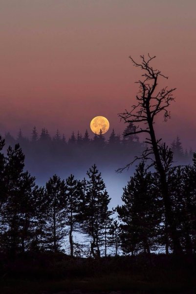 Ночной пейзаж