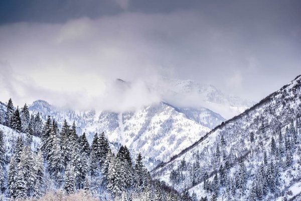 Зимние горы обои на телефон