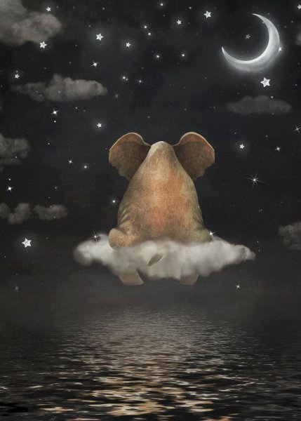 Слон сидит