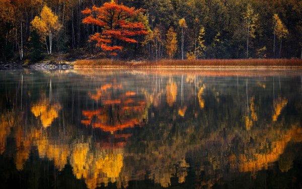 Осень отражение в воде