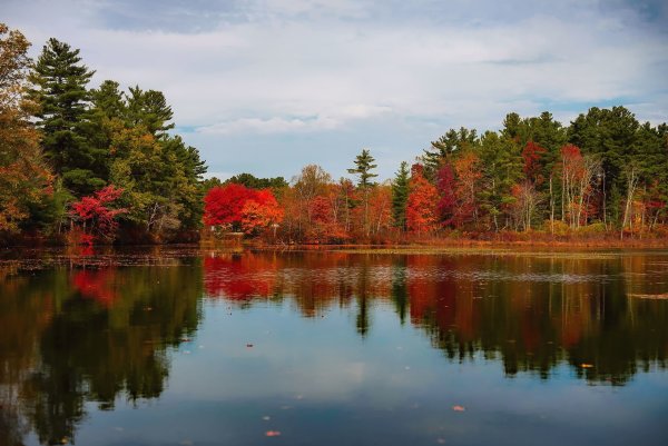 Озеро Массачусетс