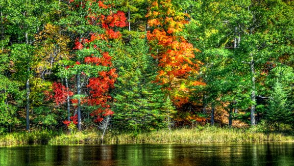 Осенний пейзаж