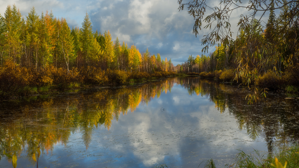 Осень природа река озеро лес