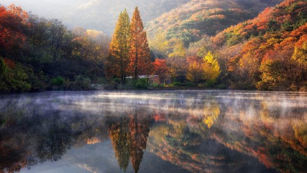 Осень лес вода