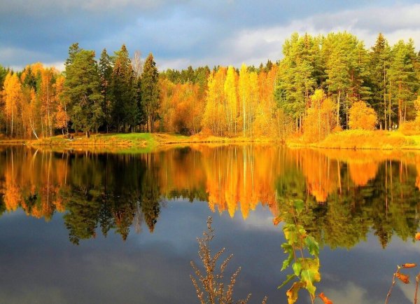 Осенний лес отражение