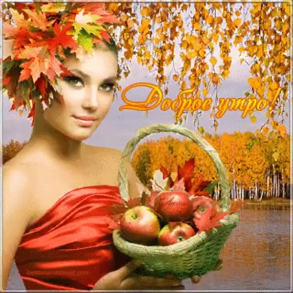 Добрый день осень Золотая