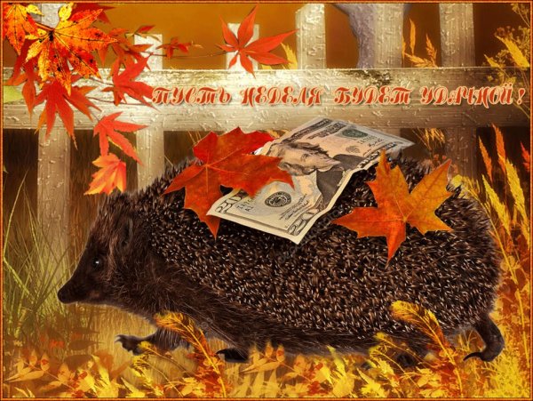 Хорошей последней недели осени!