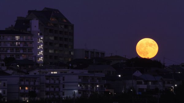 Луна над городом