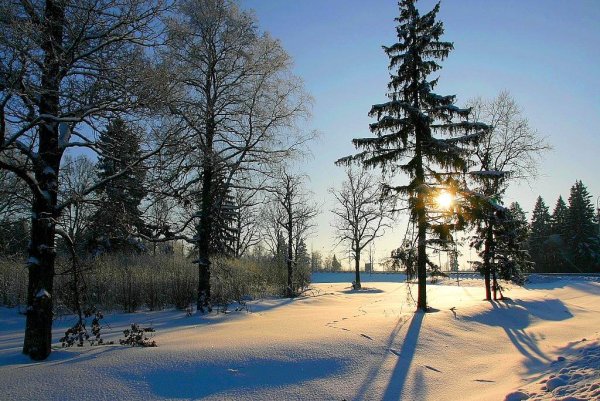 Подготовить иллюстрацию к стихотворению снега потемнеют синие
