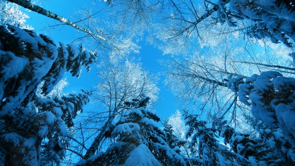 Зимний пейзаж