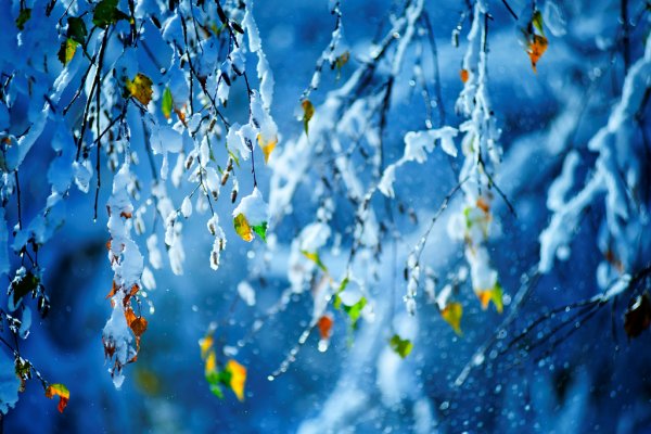 Первый снег картинки на телефон