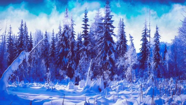 Иннокентий Анненский снег рисунок