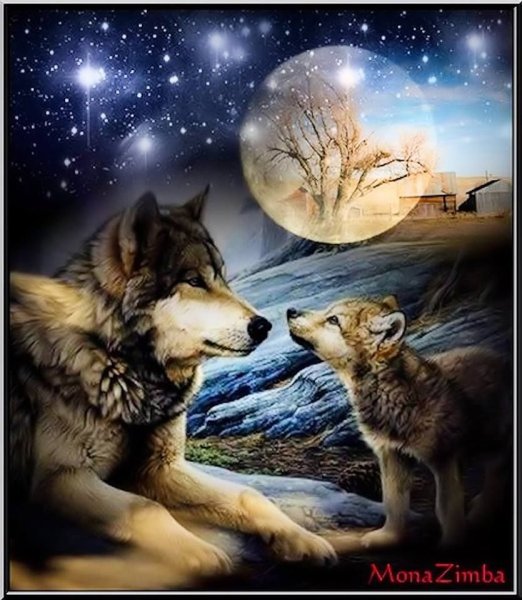 Волк и волчица ночью