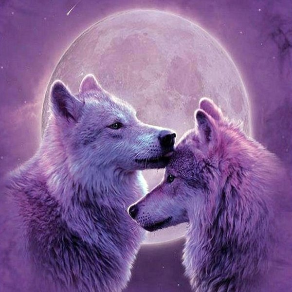 Волки любовь