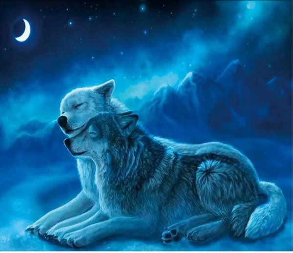 Доброй ночи волк