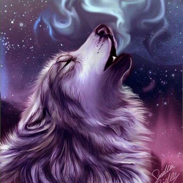 Красивые арты Волков