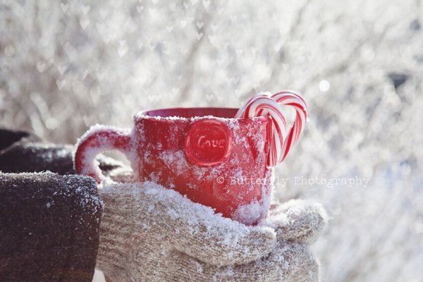 Чашка в снегу