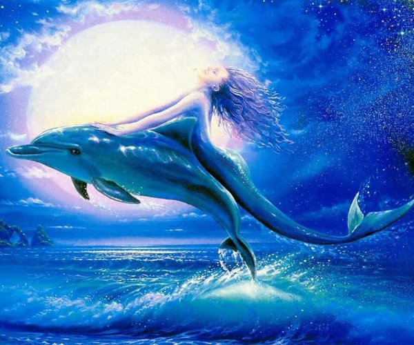 Русалка с дельфином арт
