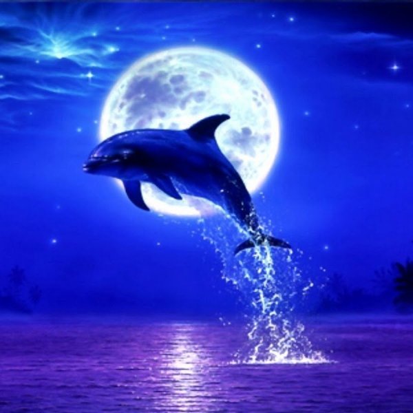 Синие дельфины