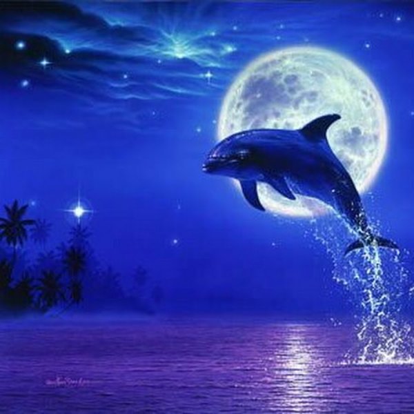 Анимационные дельфины