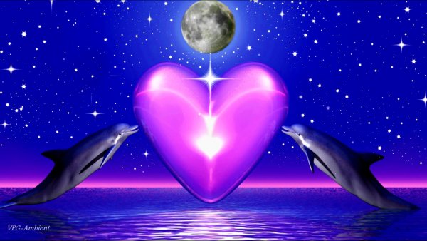 Два дельфина вместе обнимаются картинки