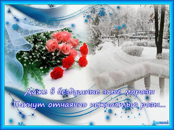 Красивые зимние поздравления