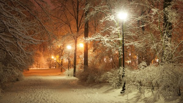 Зимний парк вечером