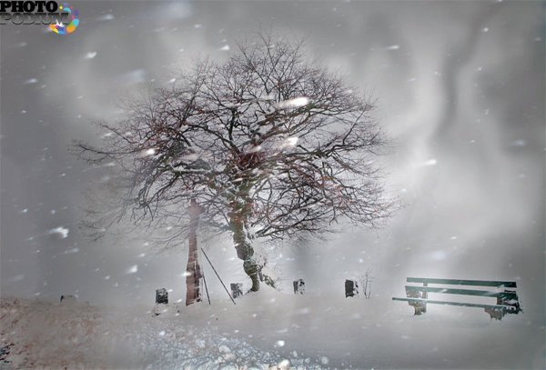 Сильный зимний ветер