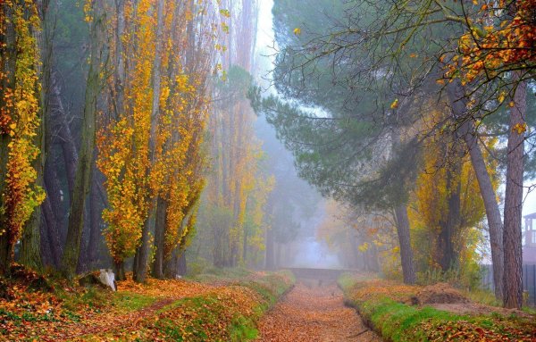 Ранняя осень