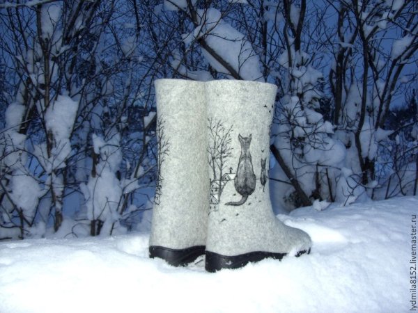 Валенки на снегу