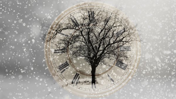 Знаки зодиака снег