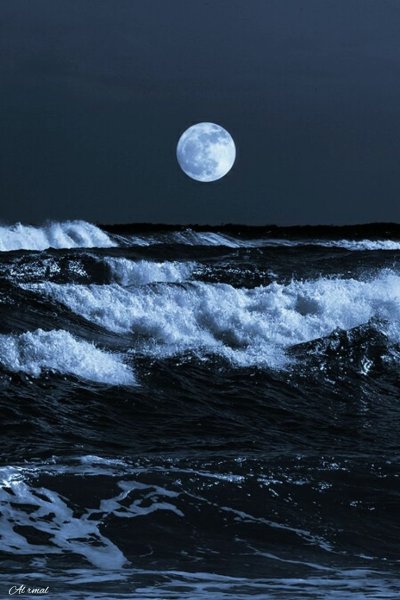 Ночное море